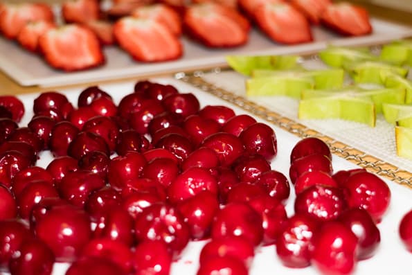 Дегидратор Rawmid DDV-06/07