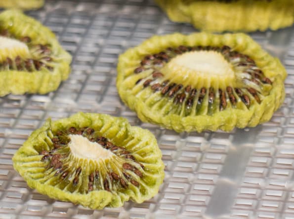 Дегидратор Rawmid DDV-06/07