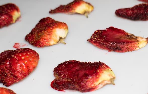 Дегидратор Rawmid DDV-06/07