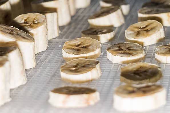 Дегидратор Rawmid DDV-06/07