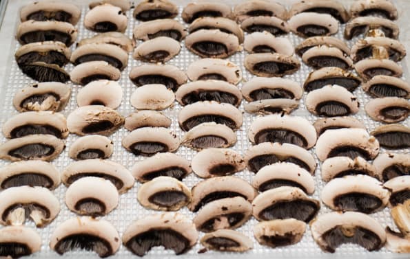 Дегидратор Rawmid DDV-06/07