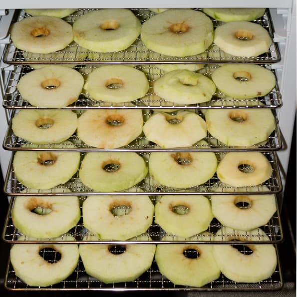 Дегидратор Rawmid Dream Vitamin DDV-10