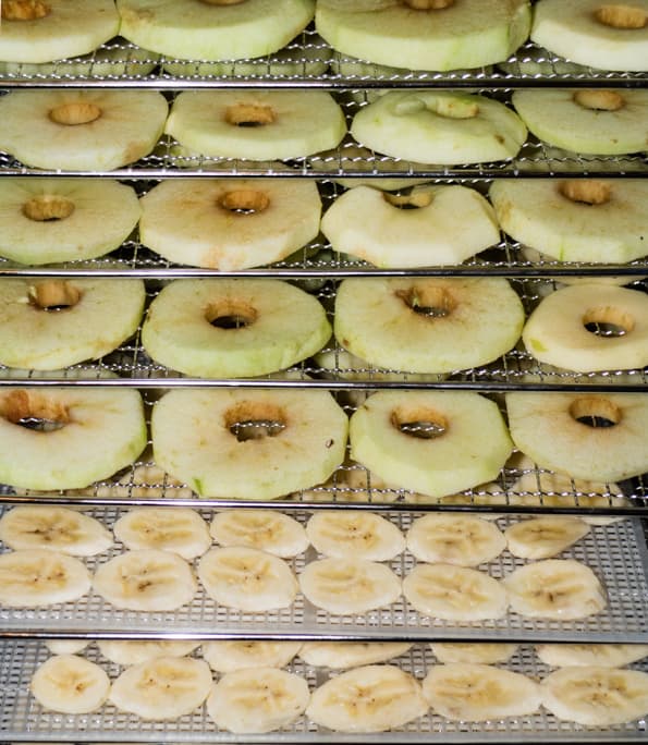 Дегидратор Rawmid Dream Vitamin DDV-10