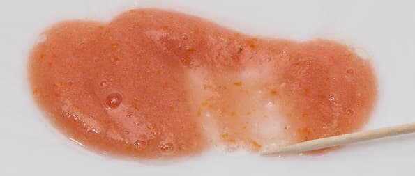 Блендер Samurai Dream 4HP