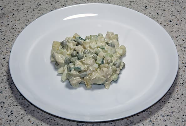 Вакуумный упаковщик Rawmid VDP-02