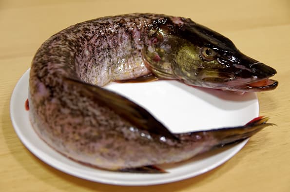 мясорубка Redmond RMG-CBM1225