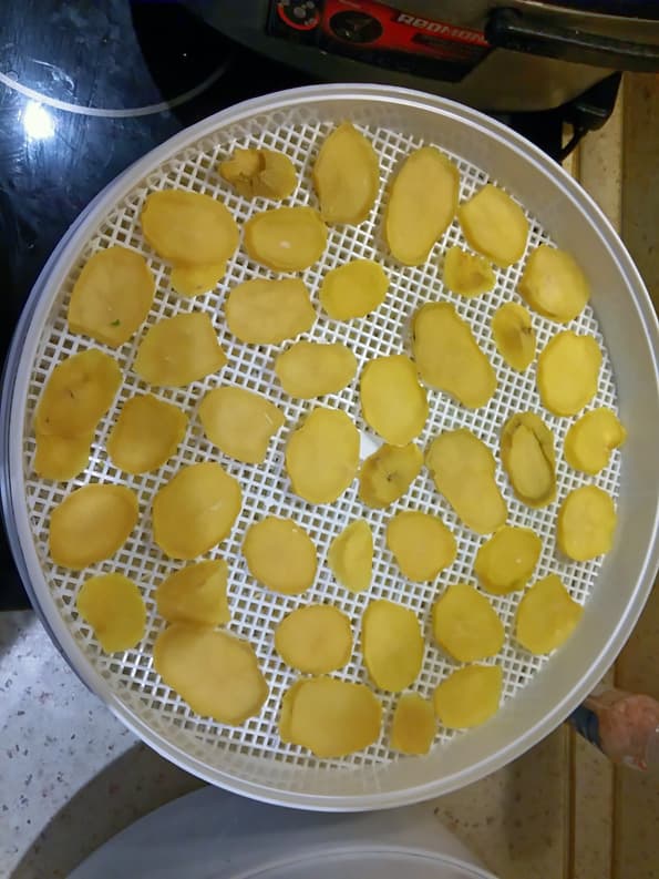 Электросушилка для продуктов Ротор «Дива» СШ-007