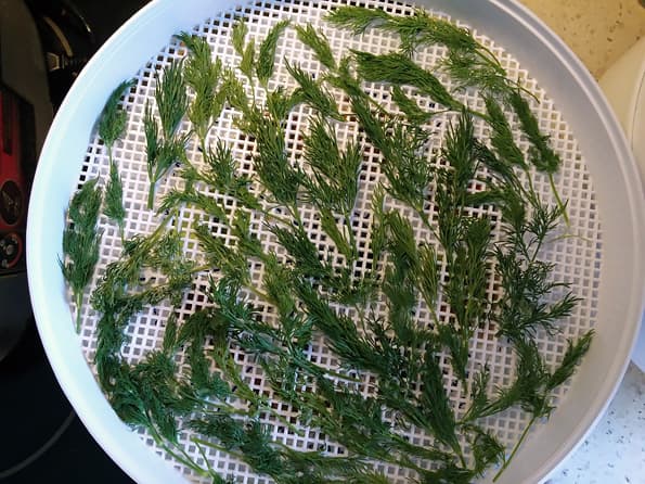 Электросушилка для продуктов Ротор «Дива» СШ-007