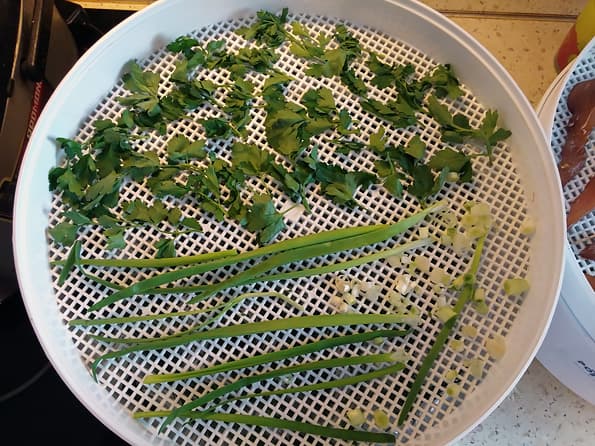 Электросушилка для продуктов Ротор «Дива» СШ-007