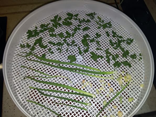 Электросушилка для продуктов Ротор «Дива» СШ-007