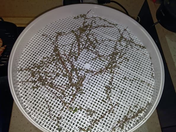 Электросушилка для продуктов Ротор «Дива» СШ-007