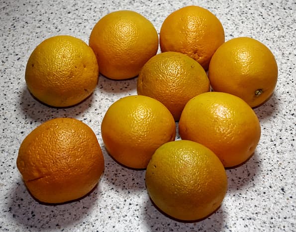 соковыжималка прессовая Sana Citrus Press