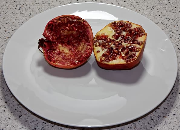 соковыжималка прессовая Sana Citrus Press