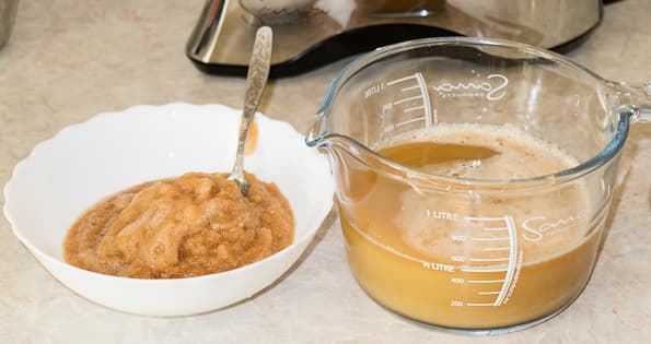 шнековая соковыжималка Sana by Omega EUJ-707