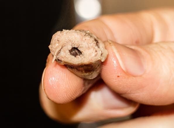 Контактный гриль Steba FG 95