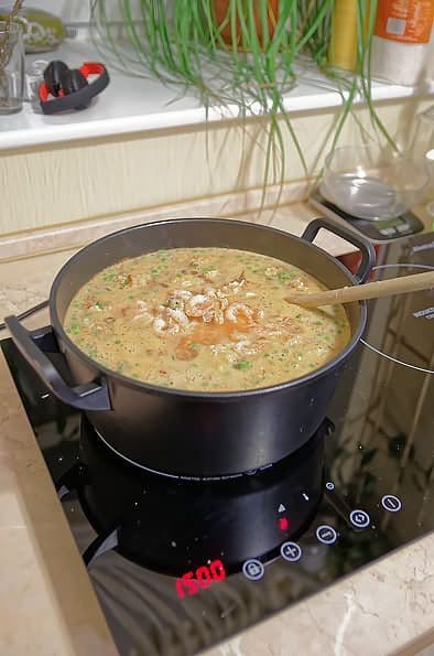 Индукционная плита Steba IK 300 SC