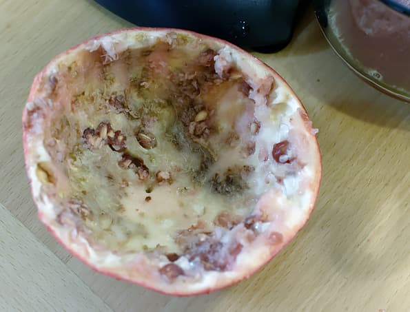 Соковыжималка для цитрусовых Steba ZP 2