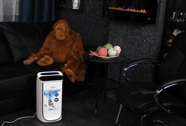 Очиститель воздуха Tefal Intense Pure Air PU4025. Фильтры