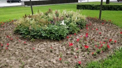 Хорошая детализация по полю кадра и по планам.