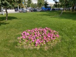 Хорошая детализация по полю кадра.