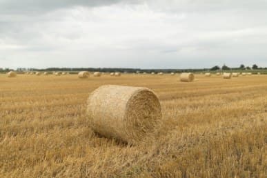 1/3200 c, с профилем