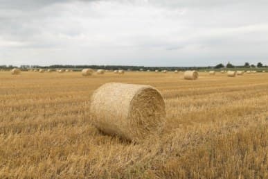 1/2000 c, с профилем