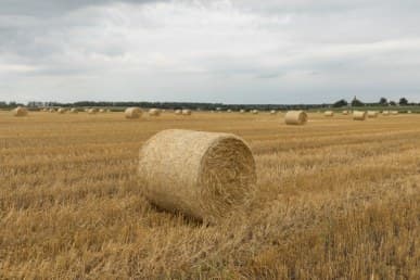 1/400 c, с профилем