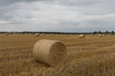 1/400 c, с профилем