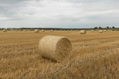 1/200 c, с профилем