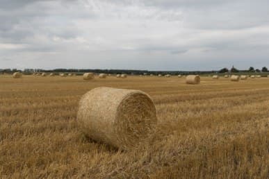 1/100 c, с профилем