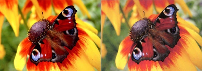 Canon Maxify MB5440, копирование