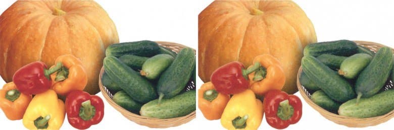 Canon Maxify MB5440, копирование