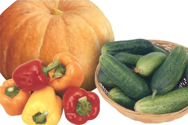 Canon Maxify MB5440, печать