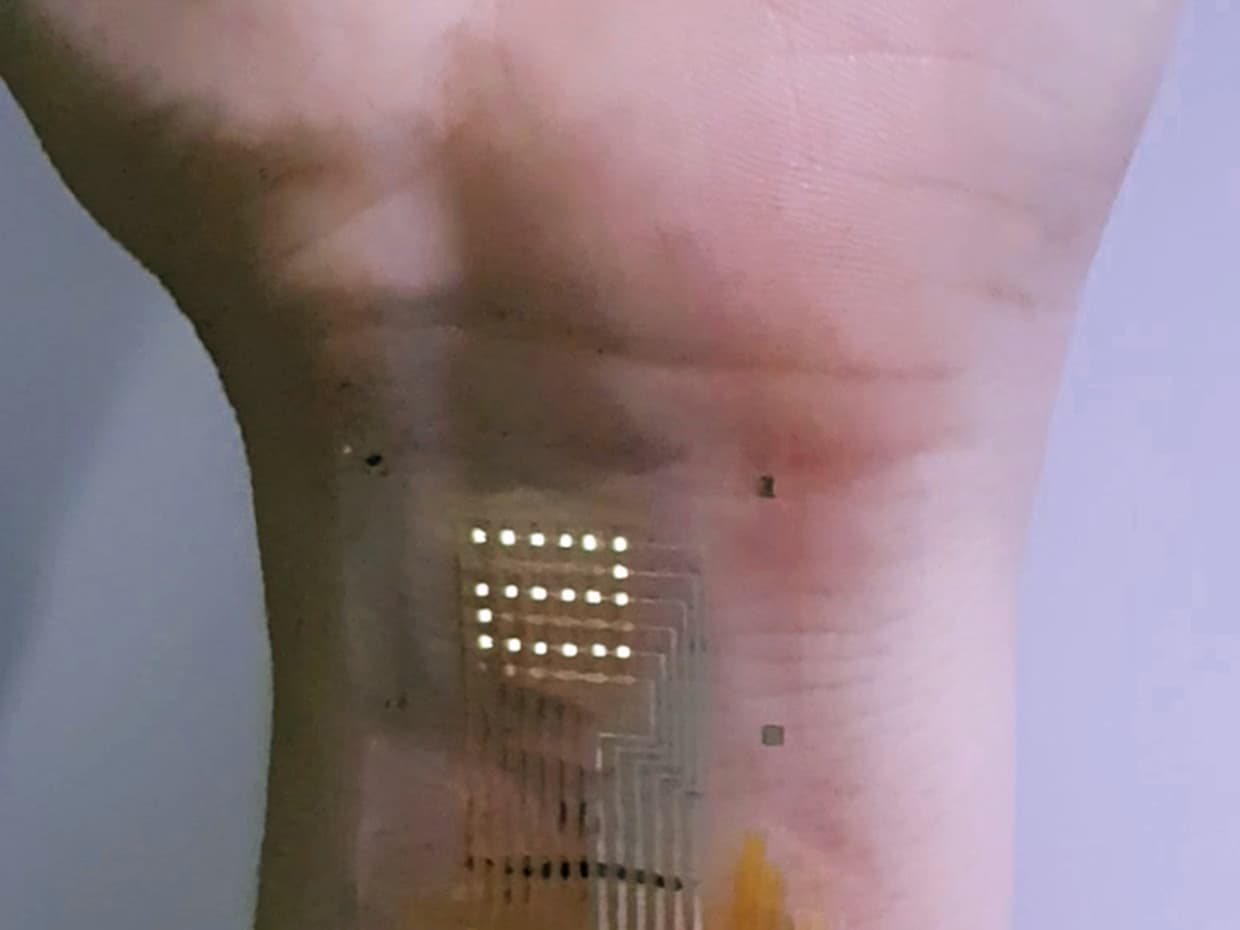 Создан гибкий прозрачный транзистор на основе дисульфда молибдена