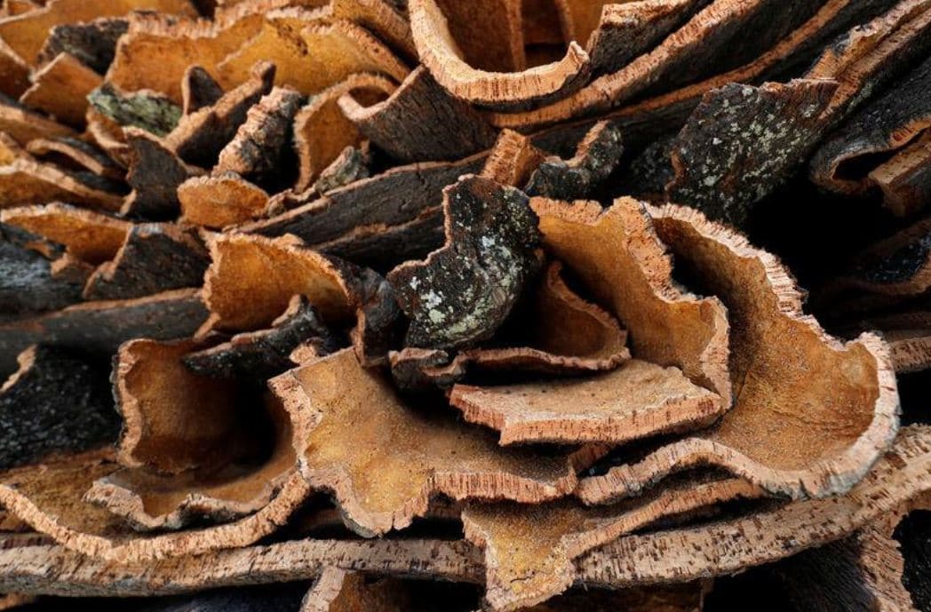 Фотогалерея дня: изготовление смартфонов с задней крышкой из коры пробкового дуба