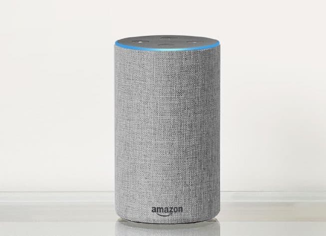 Движущей силой выступают, в частности, умные колонки Amazon и Google