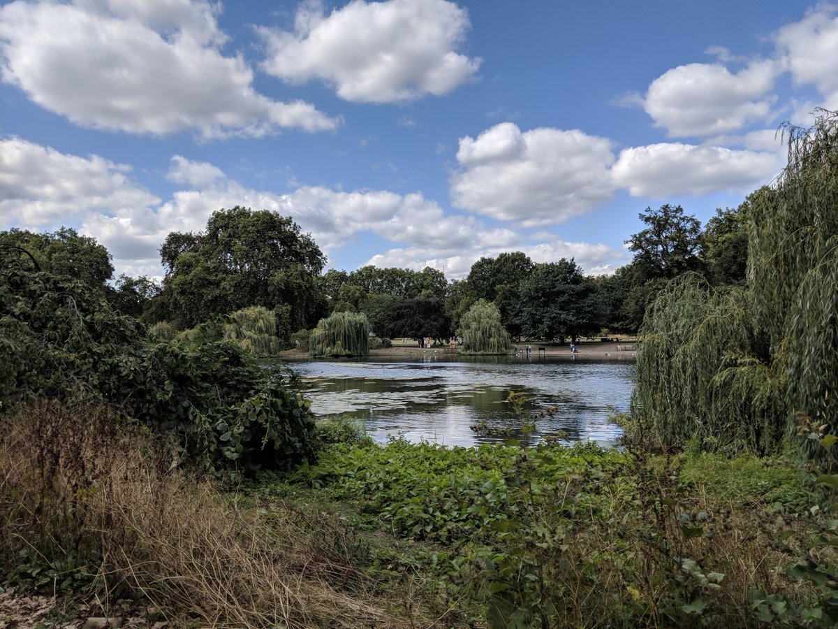 Фотогалерея дня: возможности камеры Google Pixel 3 XL