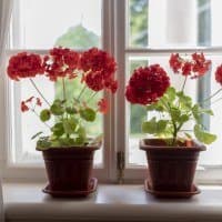 Nikon AF-S Nikkor 35mm f/1.8G ED