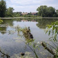 Nikon AF-S Nikkor 35mm f/1.4G