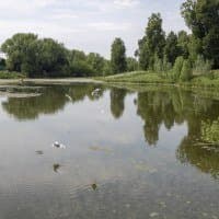 Nikon AF-S Nikkor 35mm f/1.4G