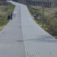 Nikon AF-S Nikkor 24-120mm F4G ED VR + Nikon D850