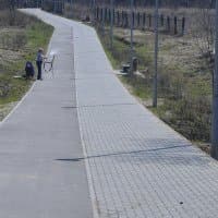 Nikon Z Nikkor 24-70mm f/4 S + Nikon Z7