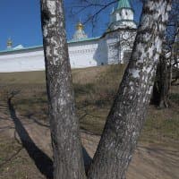 Nikon AF-S Nikkor 24-120mm F4G ED VR + Nikon D850