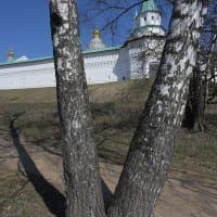 Nikon Z Nikkor 24-70mm f/4 S + Nikon Z7