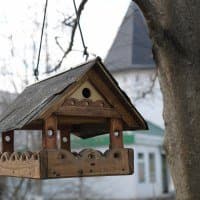 Nikon AF-S Nikkor 50mm f/1.8G