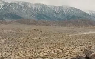 Кодирование QuickSync и CUDA