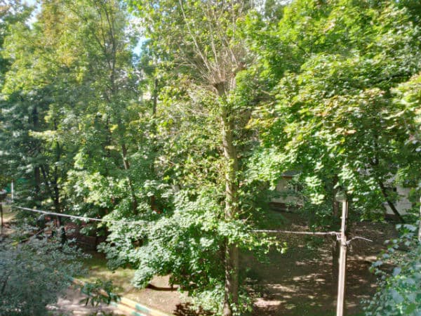 Снимок на тыловую камеру смартфона BlackBerry Q5