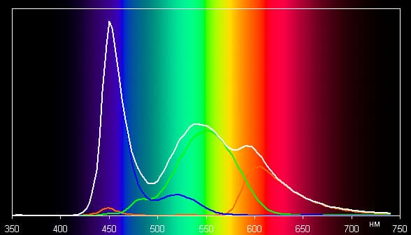 Обзор телефона Cat B100. Тестирование дисплея