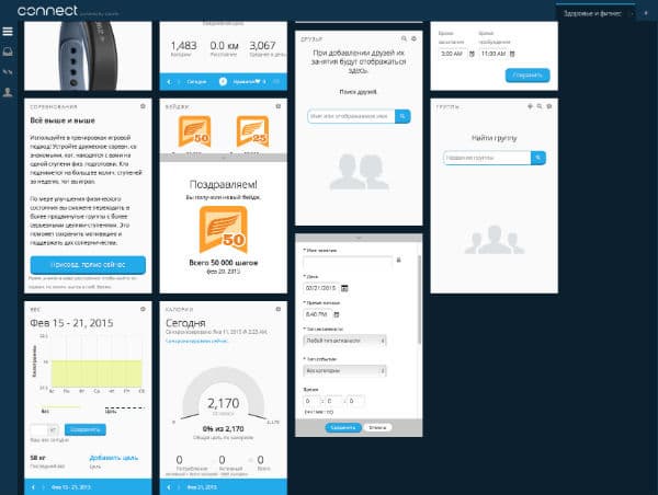 Скриншот веб-версии сервиса Garmin Connect
