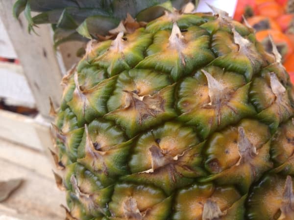 Обзор ASUS Padfone 2